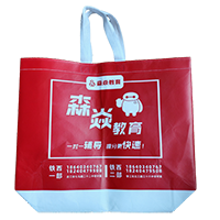 东丽LB37培训班广告袋